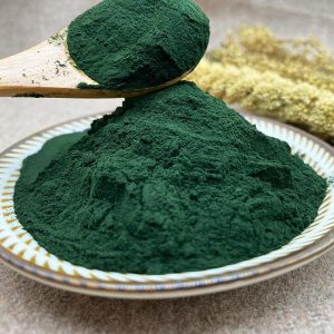 Chlorella powdery
