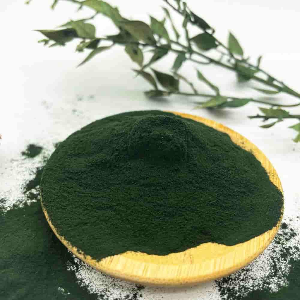 Organic Spirulina Powder